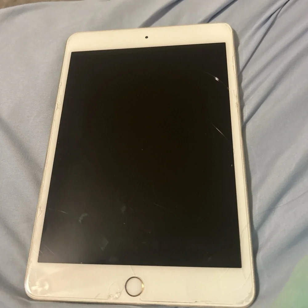 Apple iPad in Rose Gold - Compact Tablet